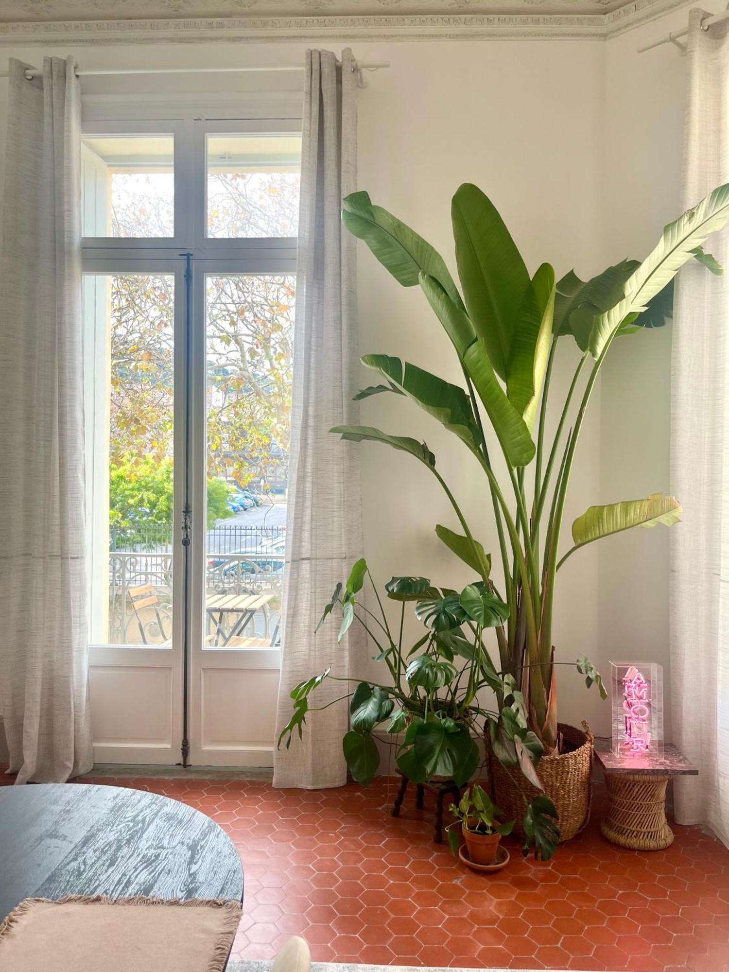 L'Echappee Setoise - Appartement Haussmannien - Localisation Exceptionnelle - Proche Canal 세테 외부 사진